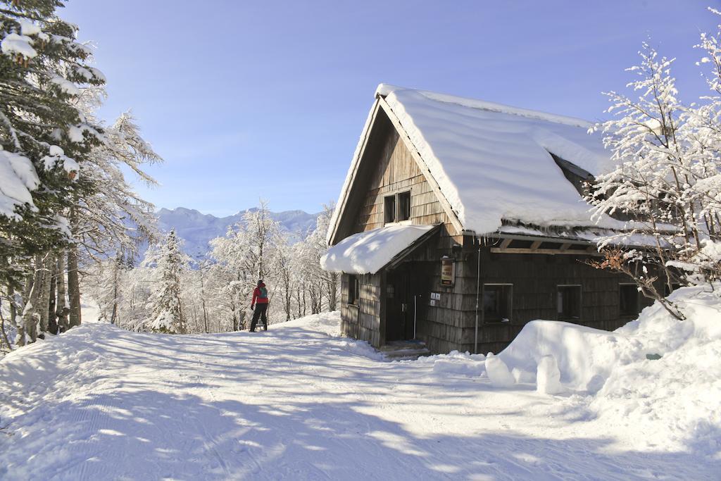 Chalet Hostel Murka Bohinj Exterior foto